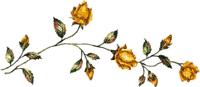 Boarder YellowRose